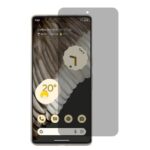 Google Pixel 3 Privacy Screen Protector
