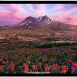 Apple iPad Pro 13-inch (M5) Screen